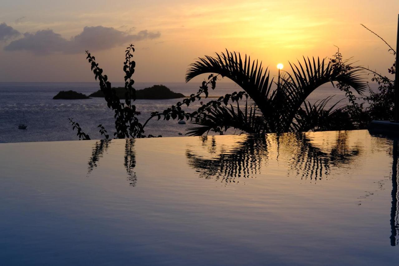 Sunset Palm - Villa Creole Avec Piscine Face Au Coucher De Soleil Et A La Reserve Cousteau Bouillante Exterior photo